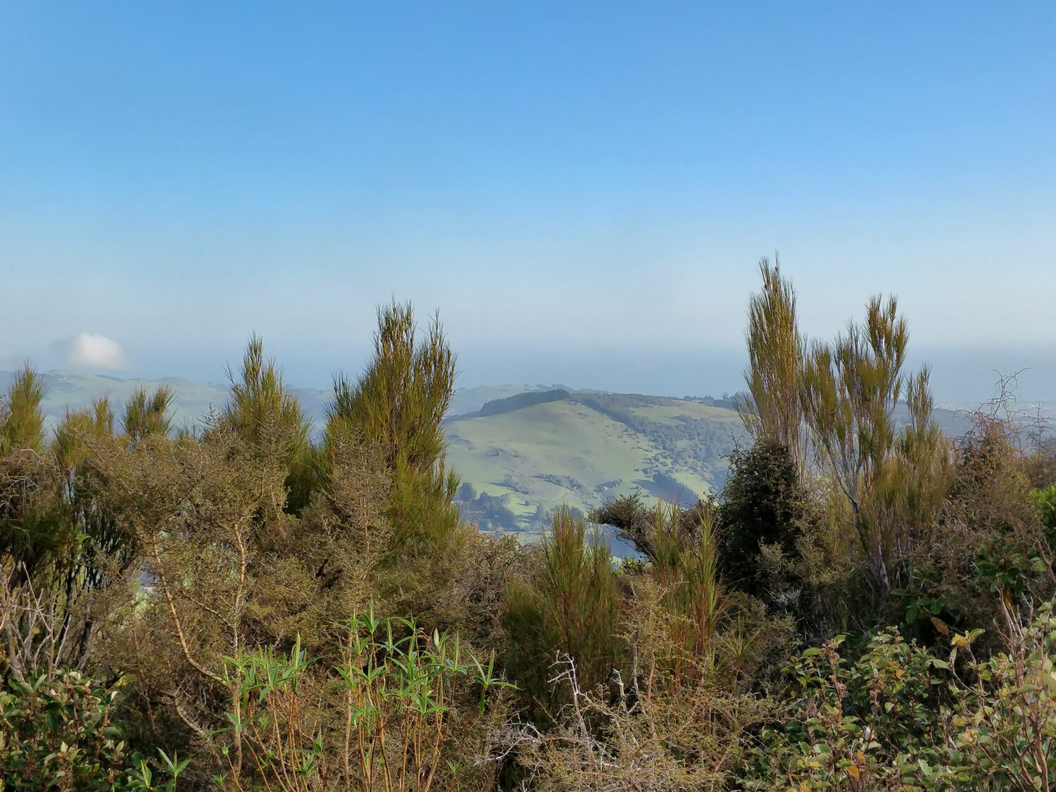 Looking at a green hill far away with blue gradient sky behind it. The hill is framed by plants close to the camera, and the camera is vertically higher up than the hill is, showing the hill's top.