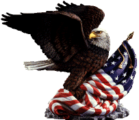 An eagle on the U.S.A. flag.